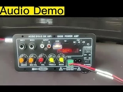 Δελτίο ενισχυτή D10-II για 4 Ωμ 40W Ηχείο 110V 220V 12V 24V Subwoofer Audio Module