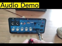 D60 50W Subwoofer Amplifier Board Bluetooth Audio Amplifier με οπτικό ήχο 12V24V220V