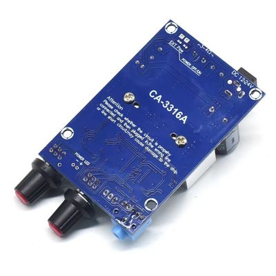 CA-3316A 100W ψηφιακό πίνακα ενισχυτή ισχύος με τσιπ TPA3116 για υποβούφερ 12-24V