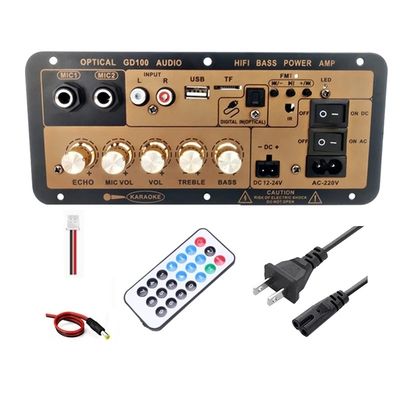 Ιδιωτικό Mold NO 2 2.0 κανάλια 100W BT Mono Amplifier Board για το σπίτι / αυτοκίνητο HiFi Karaoke