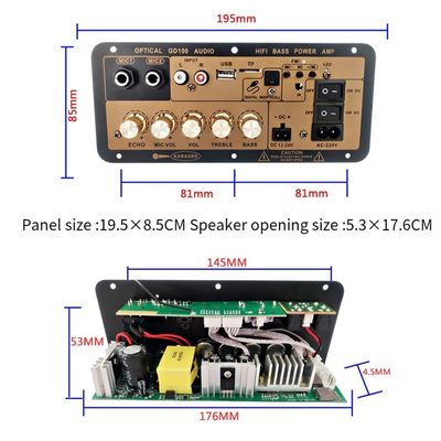 Ιδιωτικό Mold NO 2 2.0 κανάλια 100W BT Mono Amplifier Board για το σπίτι / αυτοκίνητο HiFi Karaoke