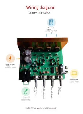 100W 2.0 Channel Audio Amplifier Board Μοντέλο PCB 16x14x6cm