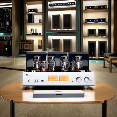 Ενισχυτής ήχου σωλήνων HIFI για το σπίτι A-Level 25W+25W Υψηλής ισχύος με ενσωματωμένους δέκτες ακουστικών και ηχεία, ενισχυτής κατηγορίας