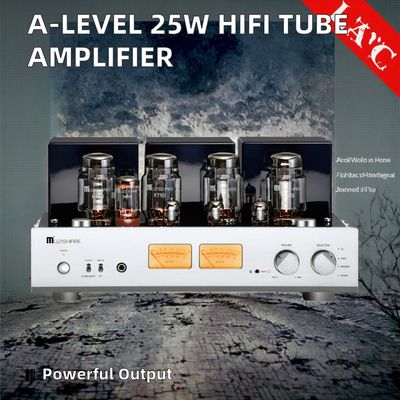 Ενισχυτής ήχου σωλήνων HIFI για το σπίτι A-Level 25W+25W Υψηλής ισχύος με ενσωματωμένους δέκτες ακουστικών και ηχεία, ενισχυτής κατηγορίας