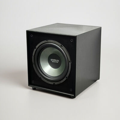 Cyclone No. 10 10-Inch 300W 6 Ohm Subwoofer Giant Wind Ten Ultra Heavy Bass Shocking 10 Inch Subwoofer