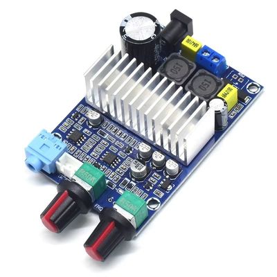 CA-3316A 100W ψηφιακό πίνακα ενισχυτή ισχύος με τσιπ TPA3116 για υποβούφερ 12-24V